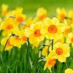 getting outdoors is good for your mental health photo