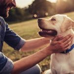 Photo pets and mental health article - 400